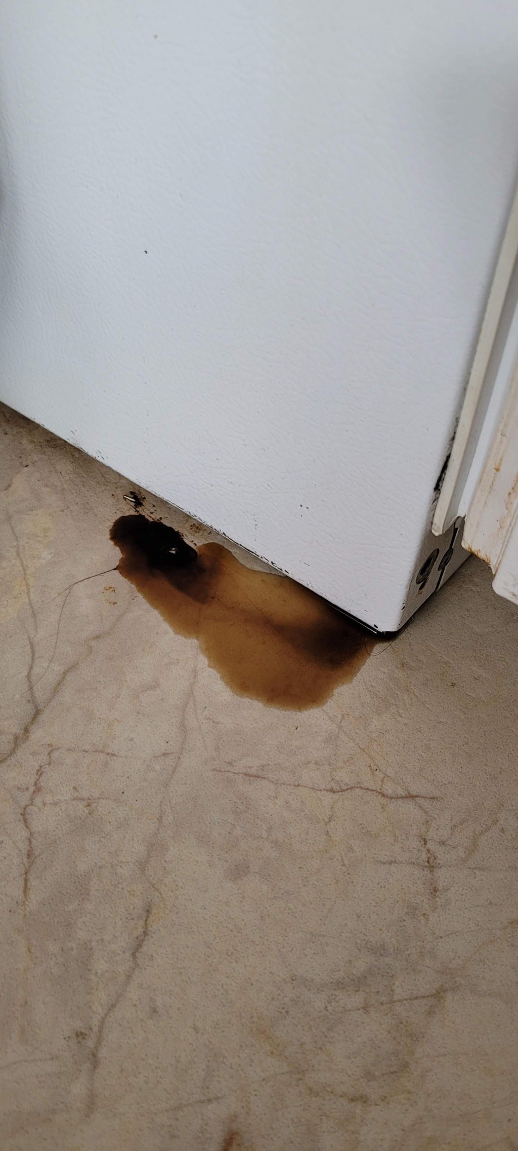 Picture of: Any idea what this brown/black substance is from under our fridge